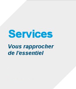 angle article services